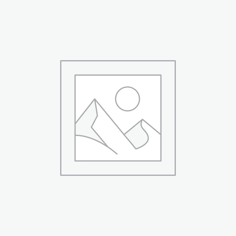 Aliquam erat ac ipsum